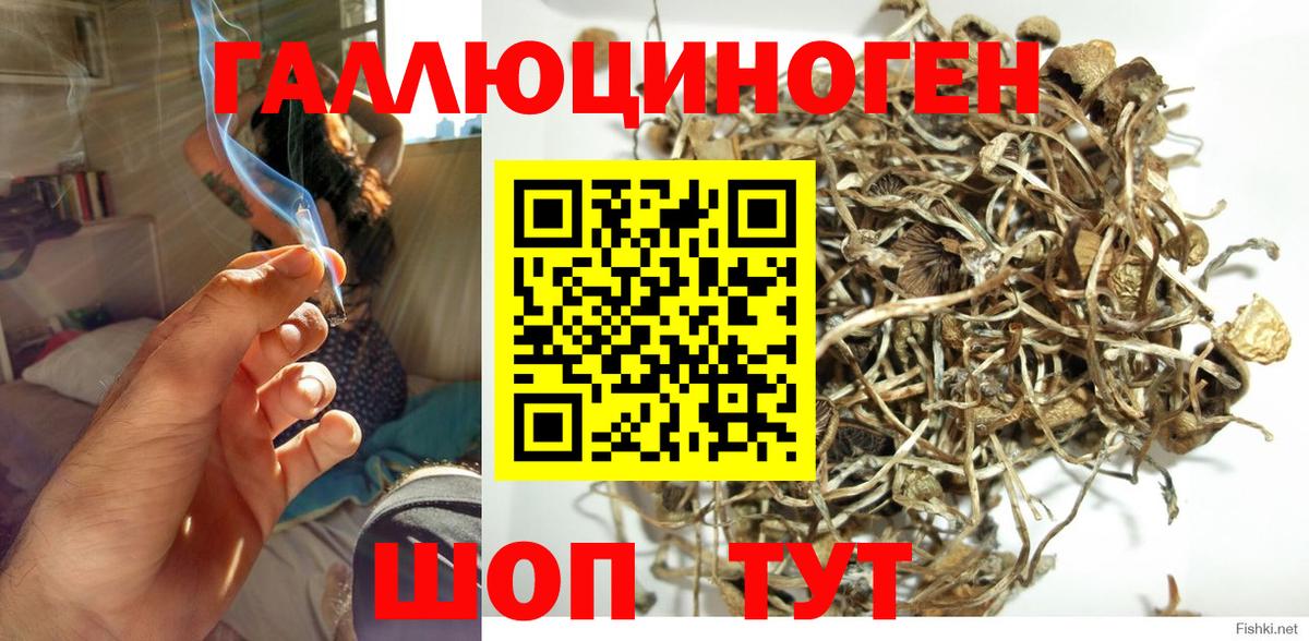 Псилоцибиновые грибы MAGIC MUSHROOMS Кыштым