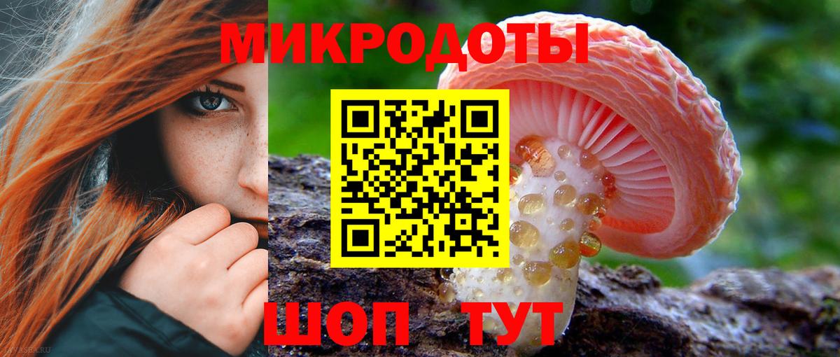 Кыштым  Псилоцибиновые грибы Magic Shrooms  Вход с VPN 